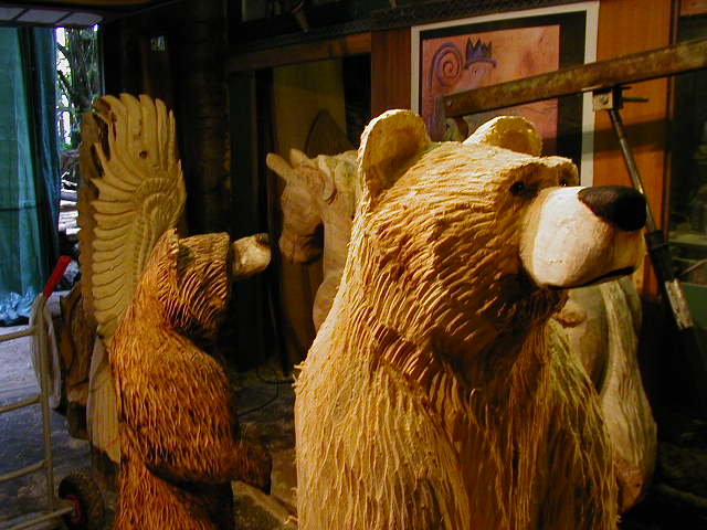 Bären / bears by Holger Bär