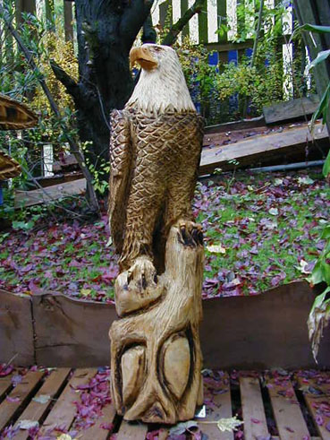 Weisskopf Adler / eagles by Holger Baer
